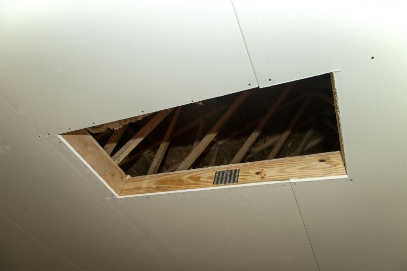 Attic Renovating
